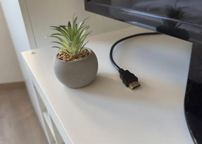 Smart For Work & Exploring Praga