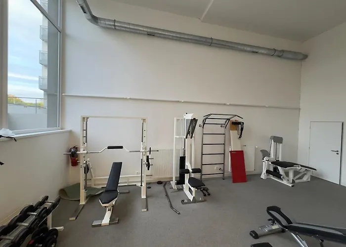 Smart For Work & Exploring