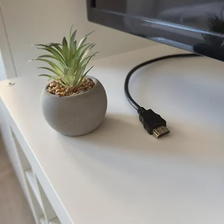 Smart For Work & Exploring 프라하